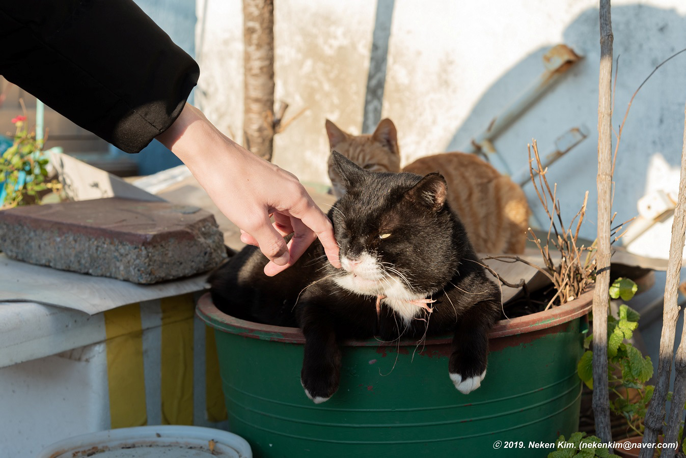 dfbe8318-66d6-4229-ae20-e1ec8058e58f_rw_